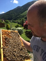 Imkerei Joachim Wehrle